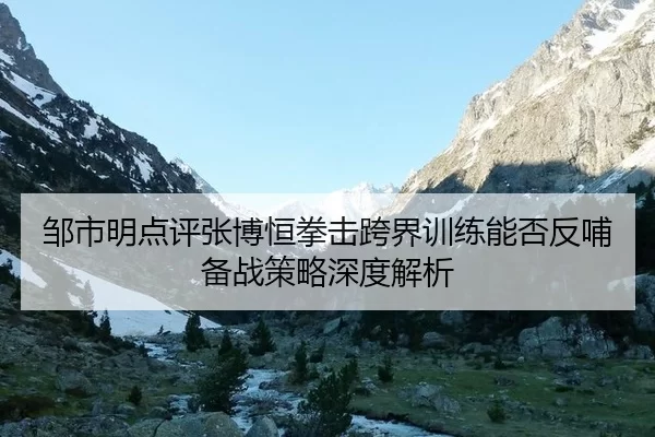 邹市明点评张博恒拳击跨界训练能否反哺备战策略深度解析