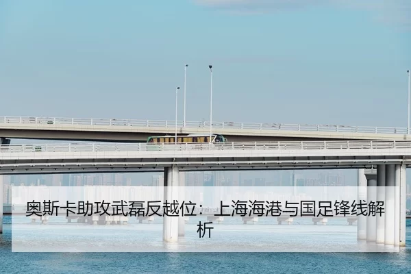 ao-si-ka-zhu-gong-wu-lei-fan-yue-wei-shang-hai-hai-gang-yu-guo-zu-feng-xian-jie-xi-2-443.jpg