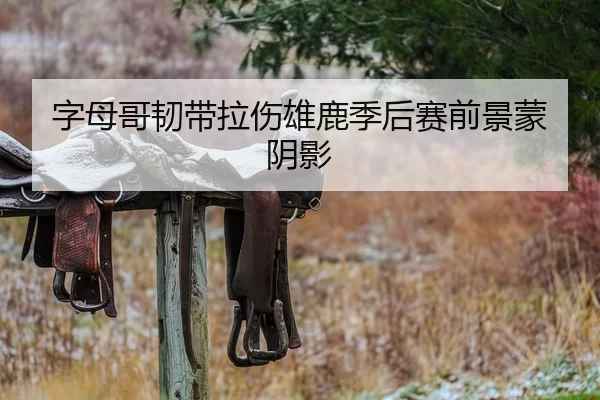字母哥韧带拉伤雄鹿季后赛前景蒙阴影